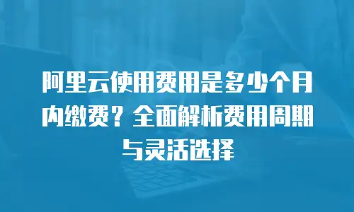 阿里云使用费用是多少个月内缴费？全面解析费用周期与灵活选择