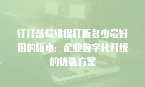 钉钉蓝莓维保打折多少最好用的版本：企业数字化升级的优选方案