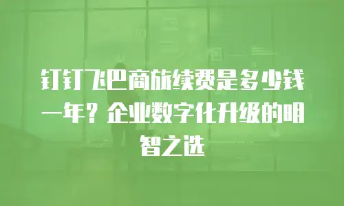 钉钉飞巴商旅续费是多少钱一年？企业数字化升级的明智之选