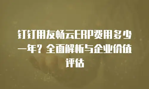 钉钉用友畅云ERP费用多少一年？全面解析与企业价值评估
