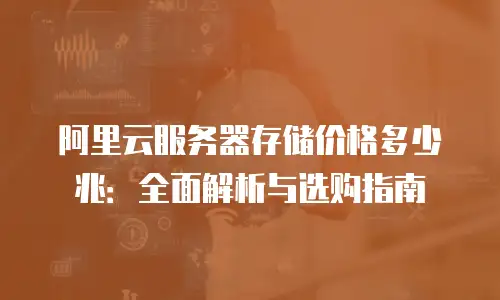 阿里云服务器存储价格多少兆：全面解析与选购指南
