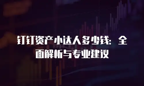 钉钉资产小达人多少钱：全面解析与专业建议