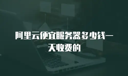 阿里云便宜服务器多少钱一天收费的