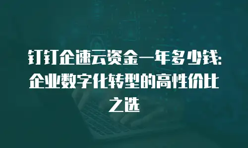 钉钉企速云资金一年多少钱：企业数字化转型的高性价比之选