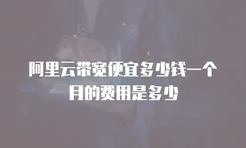 阿里云带宽便宜多少钱一个月的费用是多少