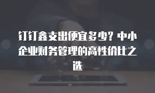 钉钉鑫支出便宜多少？中小企业财务管理的高性价比之选