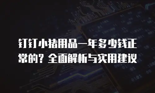 钉钉小猪用品一年多少钱正常的？全面解析与实用建议