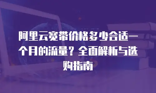 阿里云宽带价格多少合适一个月的流量？全面解析与选购指南