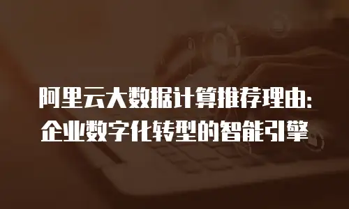 阿里云大数据计算推荐理由：企业数字化转型的智能引擎