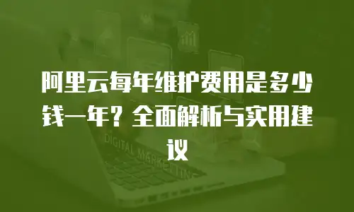 阿里云每年维护费用是多少钱一年？全面解析与实用建议