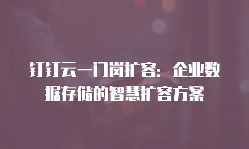 钉钉云一门岗扩容：企业数据存储的智慧扩容方案