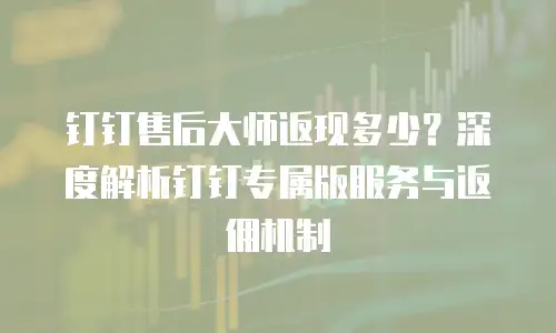 钉钉售后大师返现多少？深度解析钉钉专属版服务与返佣机制