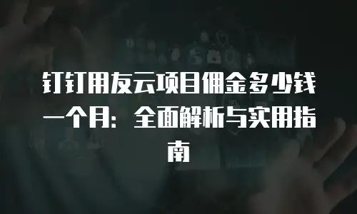 钉钉用友云项目佣金多少钱一个月：全面解析与实用指南
