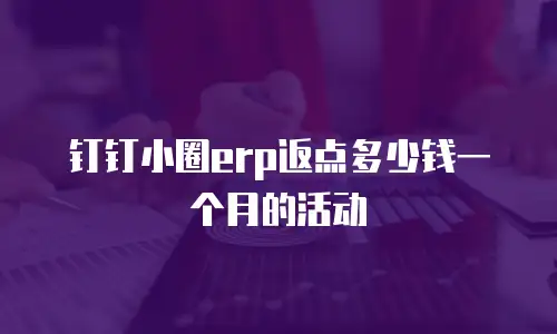钉钉小圈erp返点多少钱一个月的活动