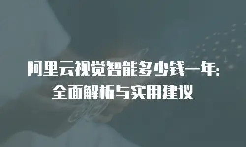 阿里云视觉智能多少钱一年：全面解析与实用建议