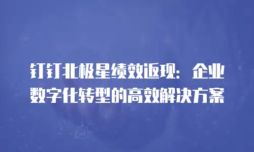 钉钉北极星绩效返现：企业数字化转型的高效解决方案
