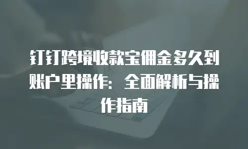 钉钉跨境收款宝佣金多久到账户里操作：全面解析与操作指南