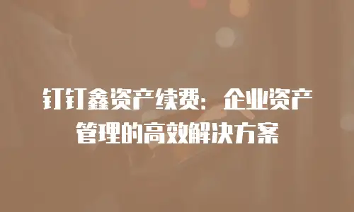 钉钉鑫资产续费：企业资产管理的高效解决方案