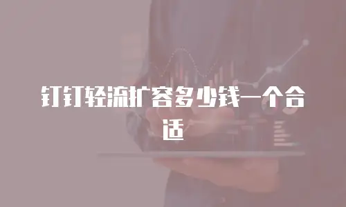 钉钉轻流扩容多少钱一个合适