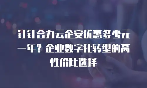 钉钉合力云企安优惠多少元一年？企业数字化转型的高性价比选择