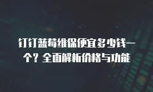 钉钉蓝莓维保便宜多少钱一个？全面解析价格与功能