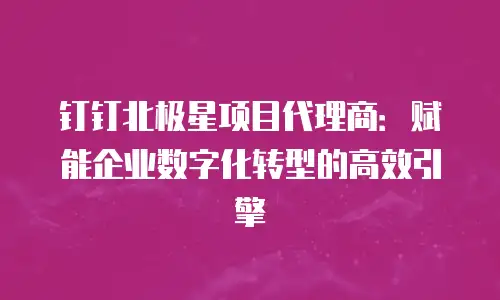 钉钉北极星项目代理商：赋能企业数字化转型的高效引擎