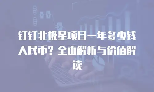 钉钉北极星项目一年多少钱人民币？全面解析与价值解读