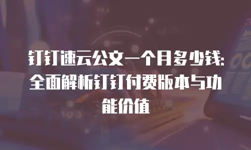 钉钉速云公文一个月多少钱：全面解析钉钉付费版本与功能价值