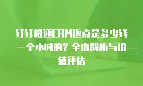 钉钉极速CRM返点是多少钱一个小时的？全面解析与价值评估