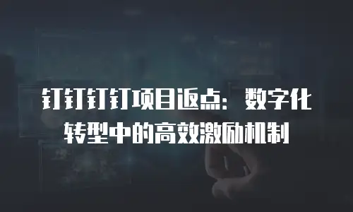 钉钉钉钉项目返点：数字化转型中的高效激励机制