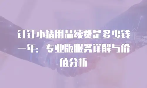 钉钉小猪用品续费是多少钱一年：专业版服务详解与价值分析