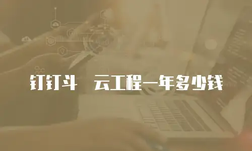 钉钉斗栱云工程一年多少钱