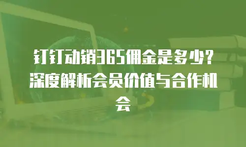 钉钉动销365佣金是多少？深度解析会员价值与合作机会