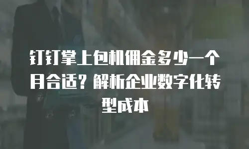 钉钉掌上包机佣金多少一个月合适？解析企业数字化转型成本
