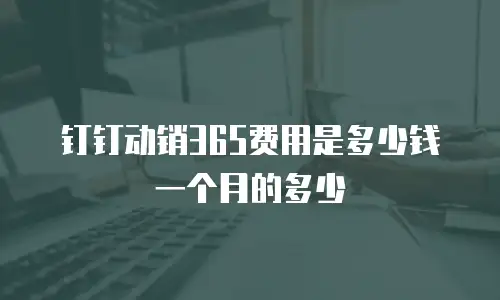钉钉动销365费用是多少钱一个月的多少