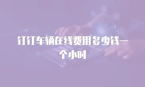 钉钉车辆在线费用多少钱一个小时