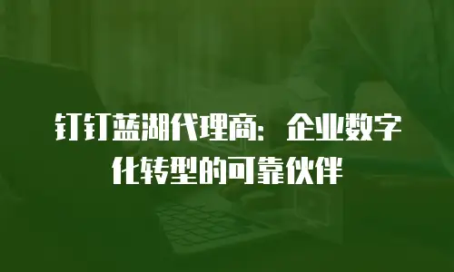 钉钉蓝湖代理商：企业数字化转型的可靠伙伴