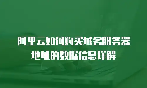 阿里云如何购买域名服务器地址的数据信息详解