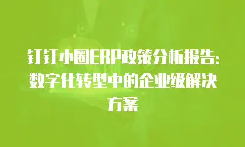 钉钉小圈ERP政策分析报告：数字化转型中的企业级解决方案
