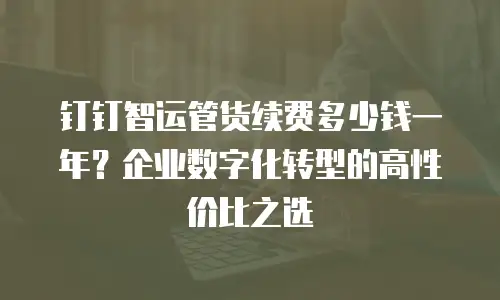 钉钉智运管货续费多少钱一年？企业数字化转型的高性价比之选