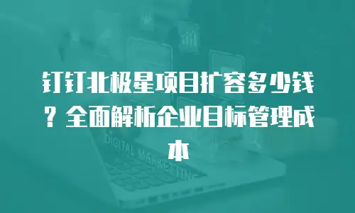 钉钉北极星项目扩容多少钱？全面解析企业目标管理成本