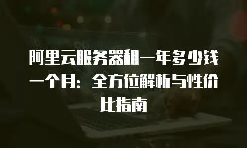 阿里云服务器租一年多少钱一个月：全方位解析与性价比指南