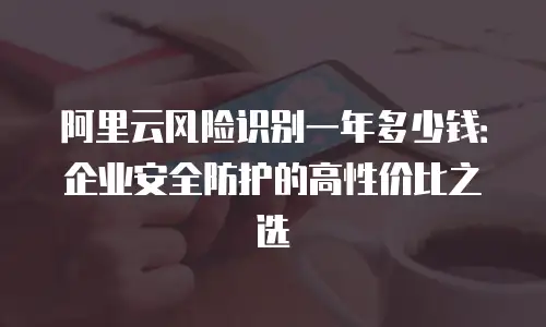 阿里云风险识别一年多少钱：企业安全防护的高性价比之选