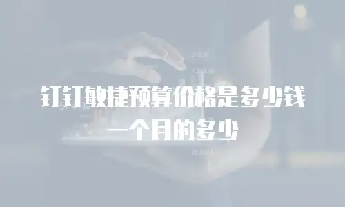 钉钉敏捷预算价格是多少钱一个月的多少