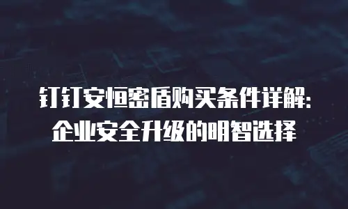 钉钉安恒密盾购买条件详解：企业安全升级的明智选择