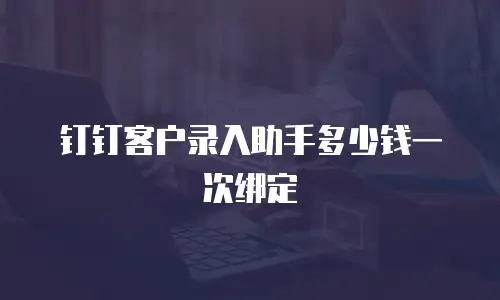 钉钉客户录入助手多少钱一次绑定