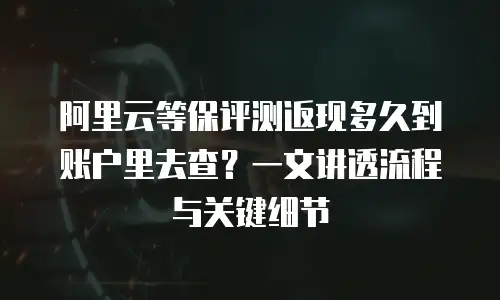 阿里云等保评测返现多久到账户里去查？一文讲透流程与关键细节