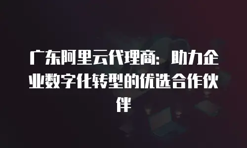 广东阿里云代理商：助力企业数字化转型的优选合作伙伴