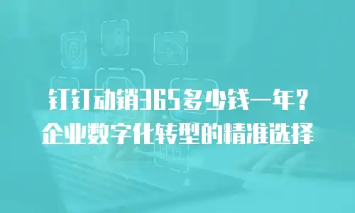 钉钉动销365多少钱一年？企业数字化转型的精准选择