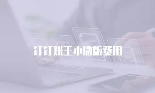 钉钉账王小微版费用